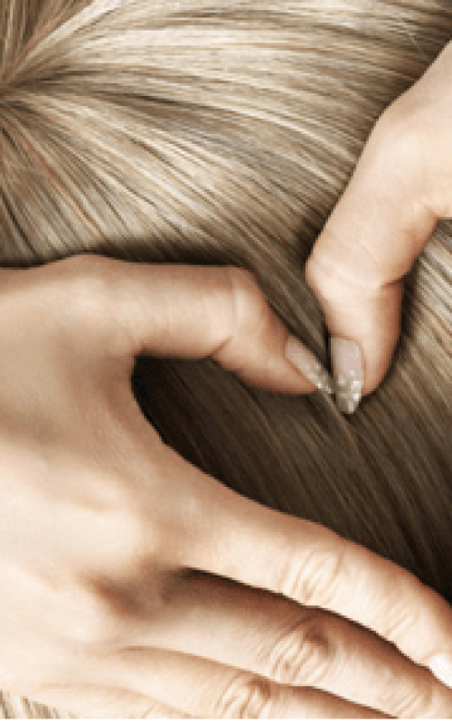 Peruca Lace Curta – Beauty Hair – Loja Lado Mulher